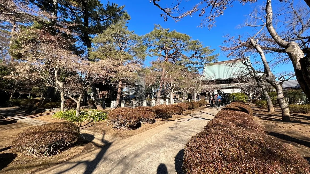 豪徳寺