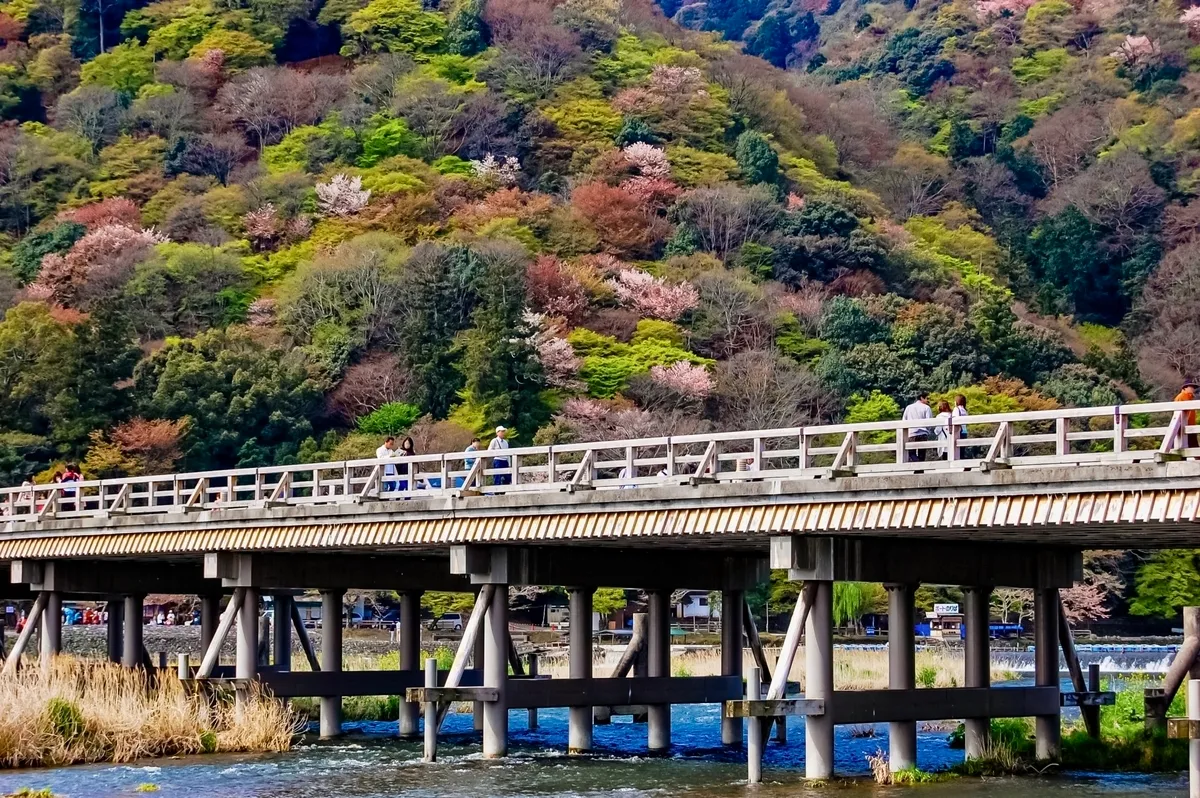 春の渡月橋