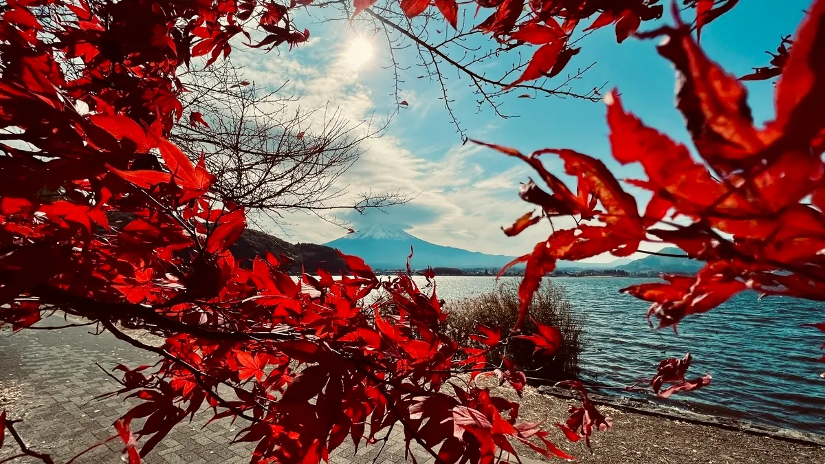 真紅の紅葉と富士山