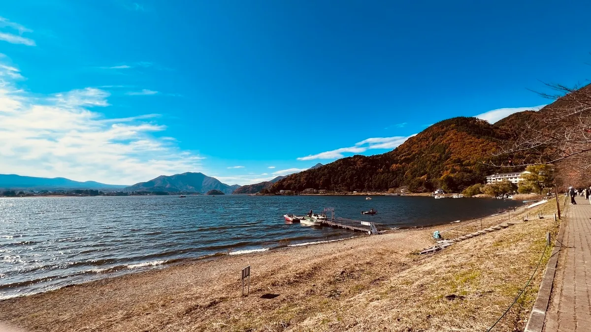 河口湖と紅葉