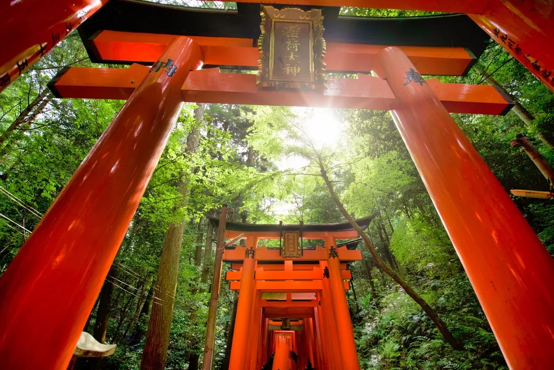 山中の千本鳥居