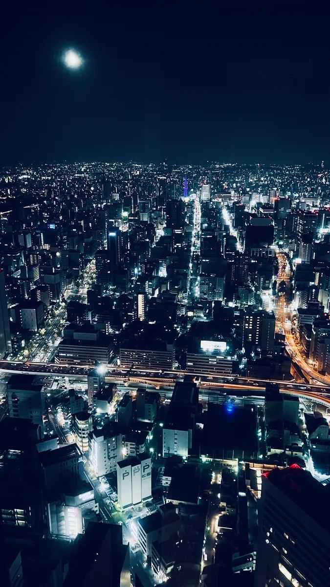 名古屋市街地の夜景