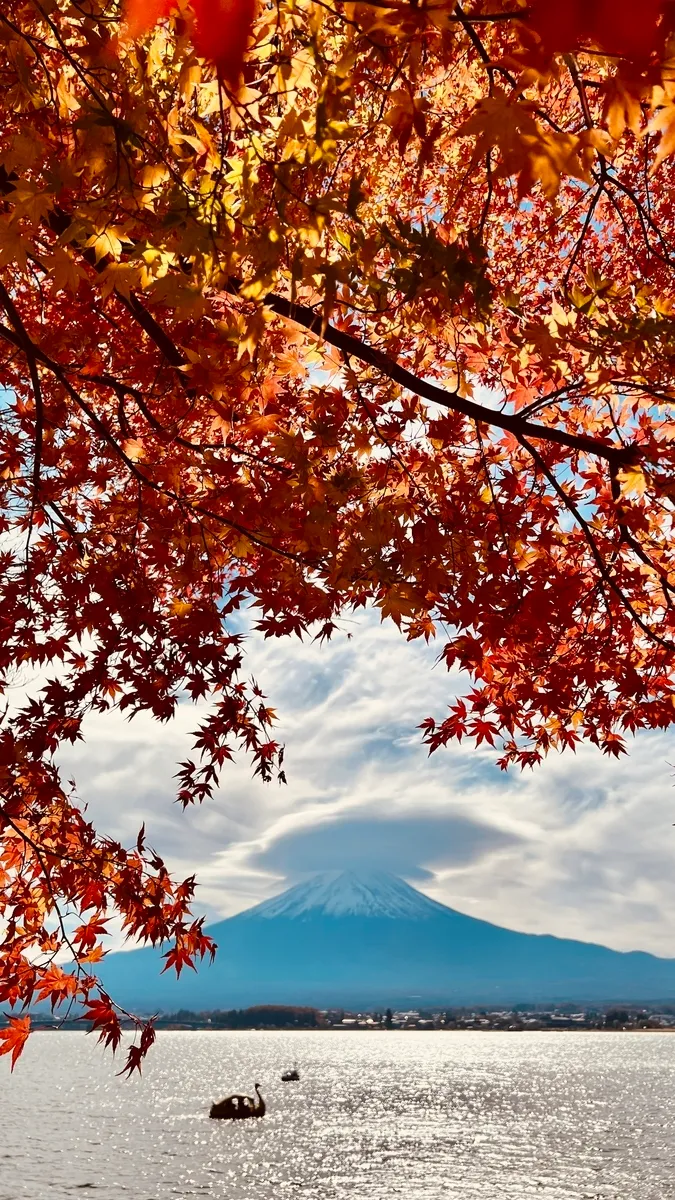 富士山と河口湖と紅葉