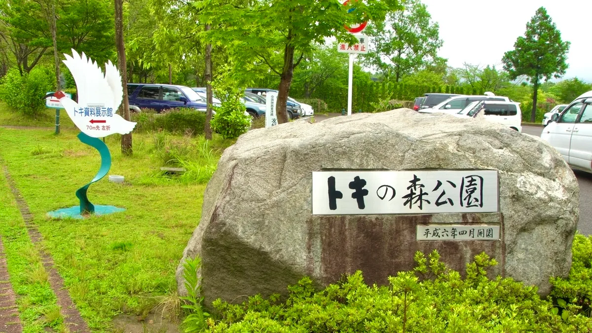 トキの森公園