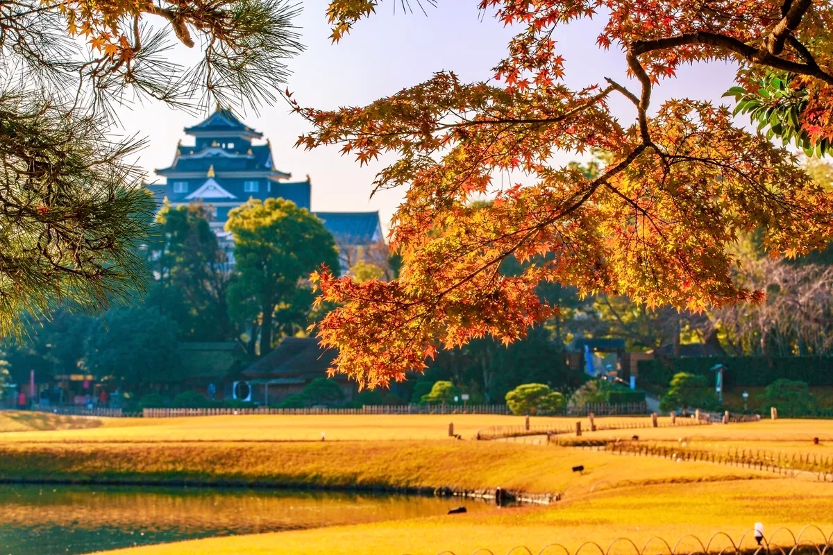 紅葉と庭園