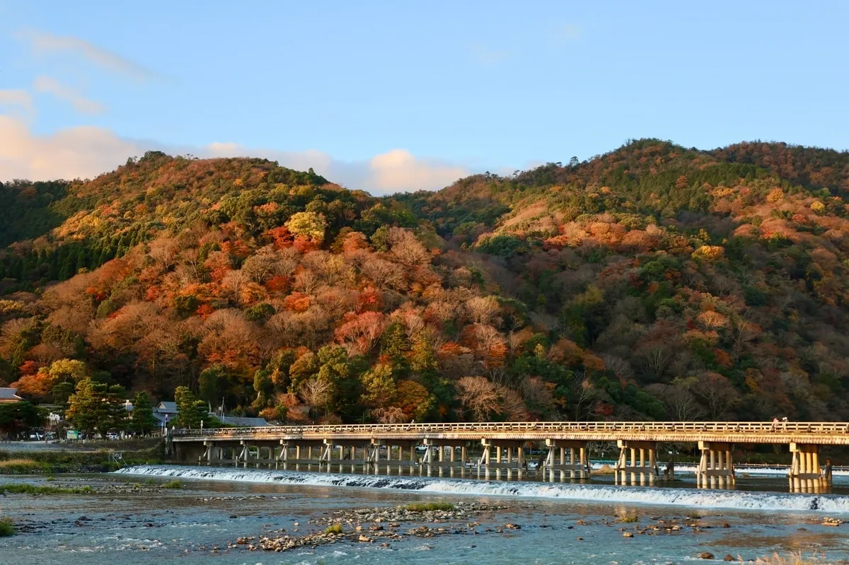 秋の渡月橋