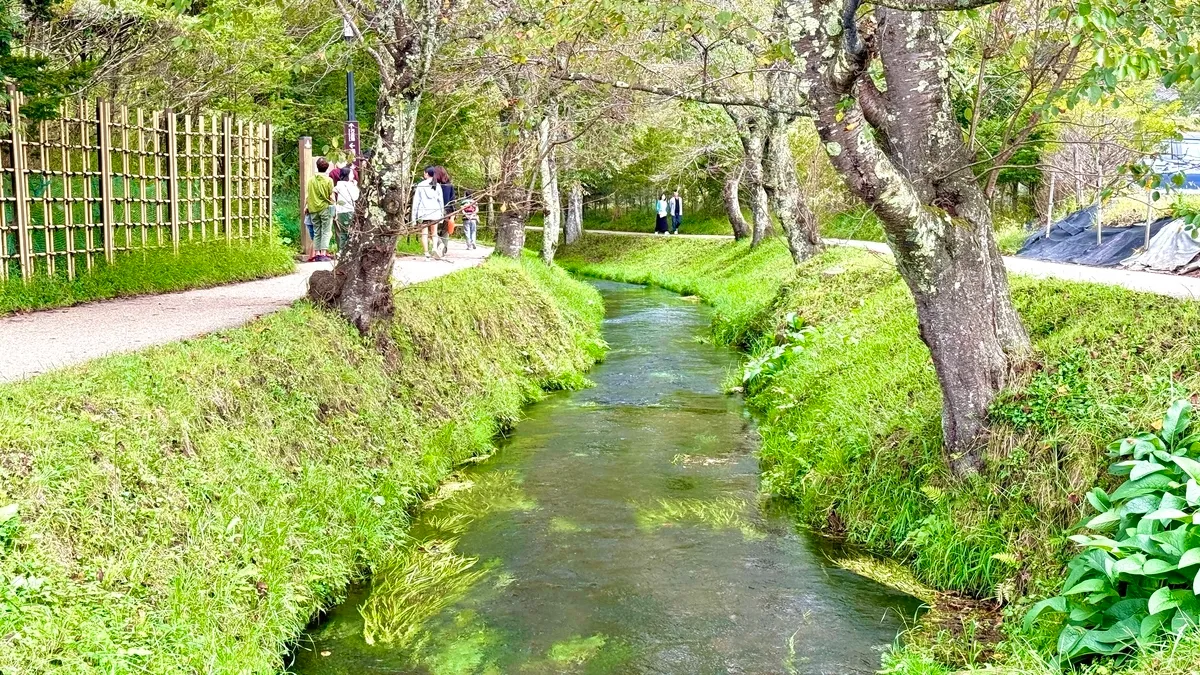 遊歩道