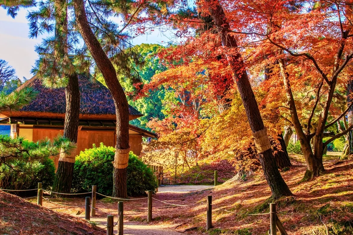 紅葉と庭園