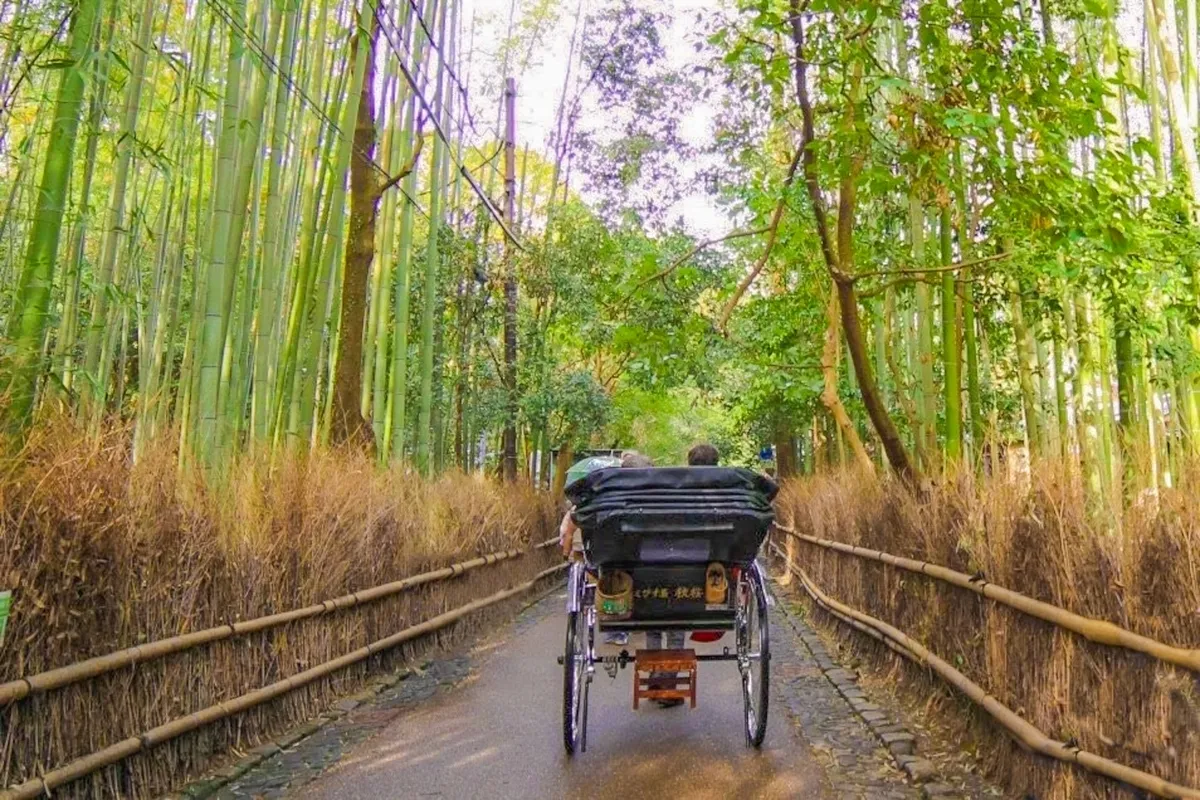 竹林の小径を走る人力車