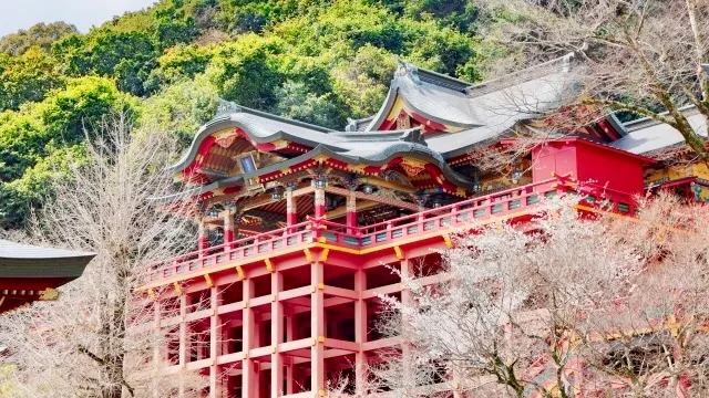 祐徳稲荷神社