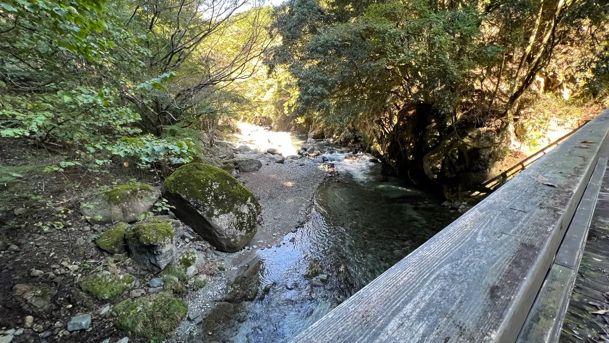 橋からの眺め