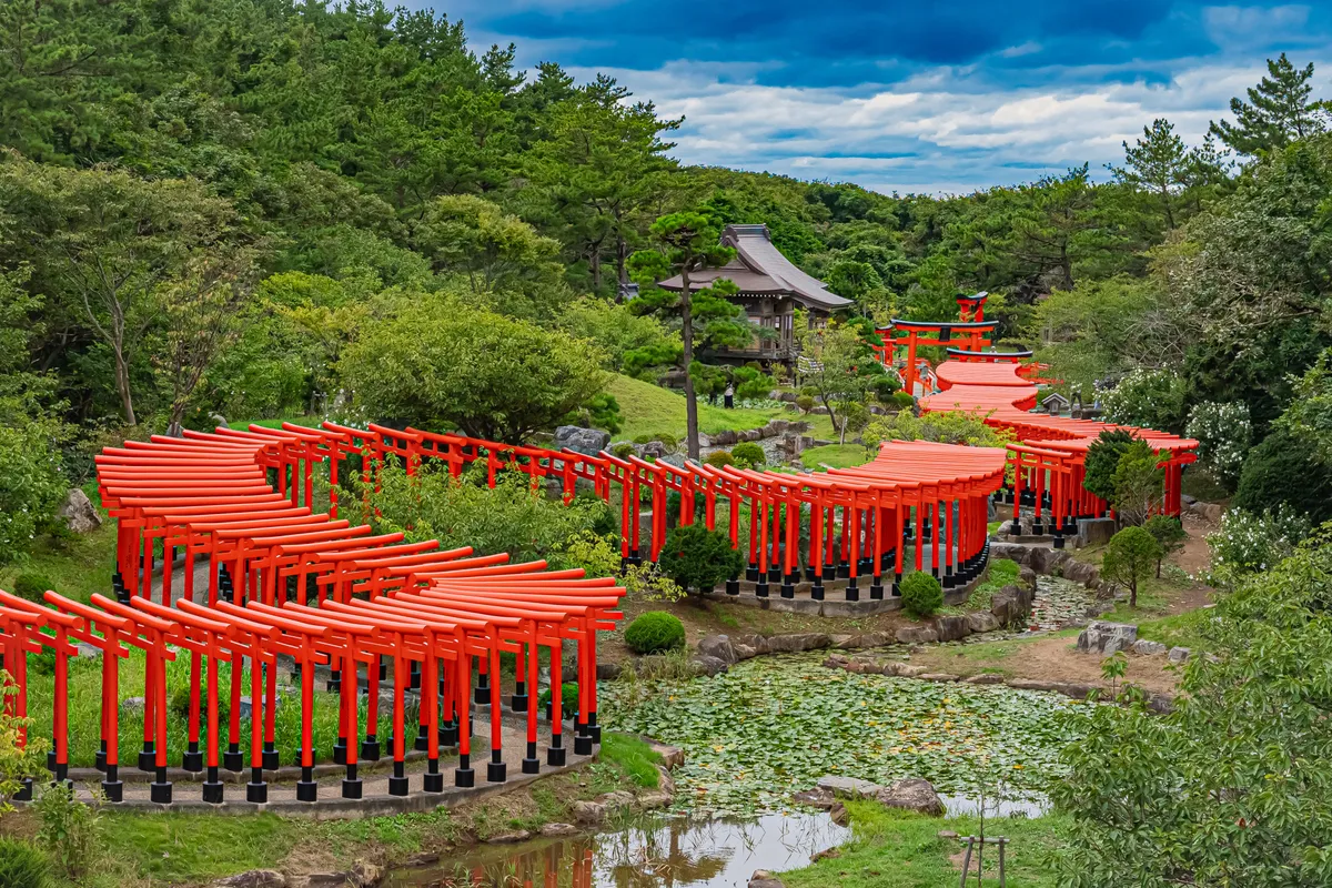 高山稲荷神社 千本鳥居