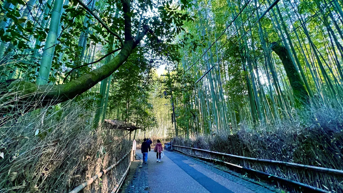 竹林の小径