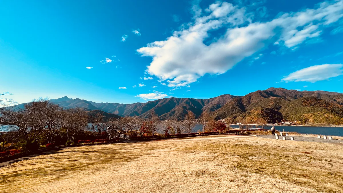 八木崎公園からの景色