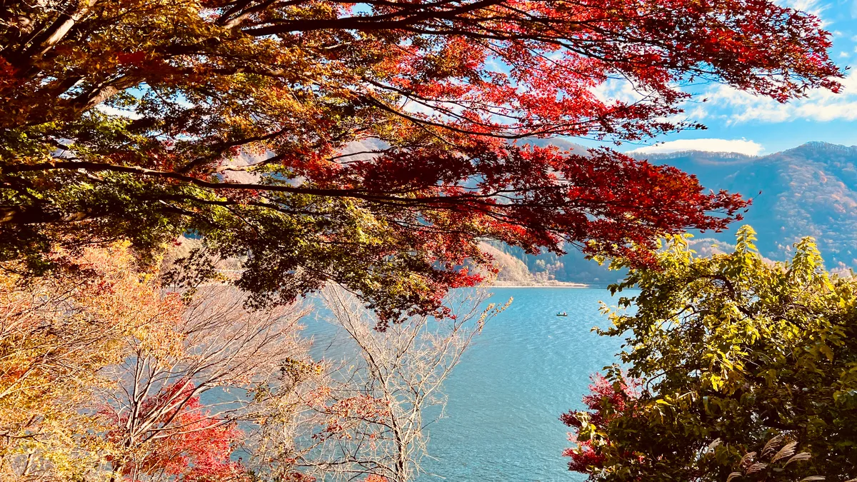 西湖根場浜