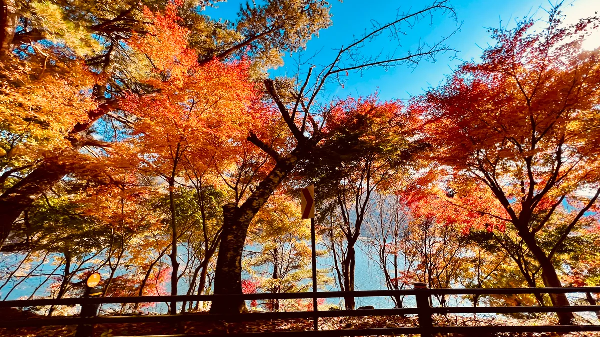 西湖根場浜