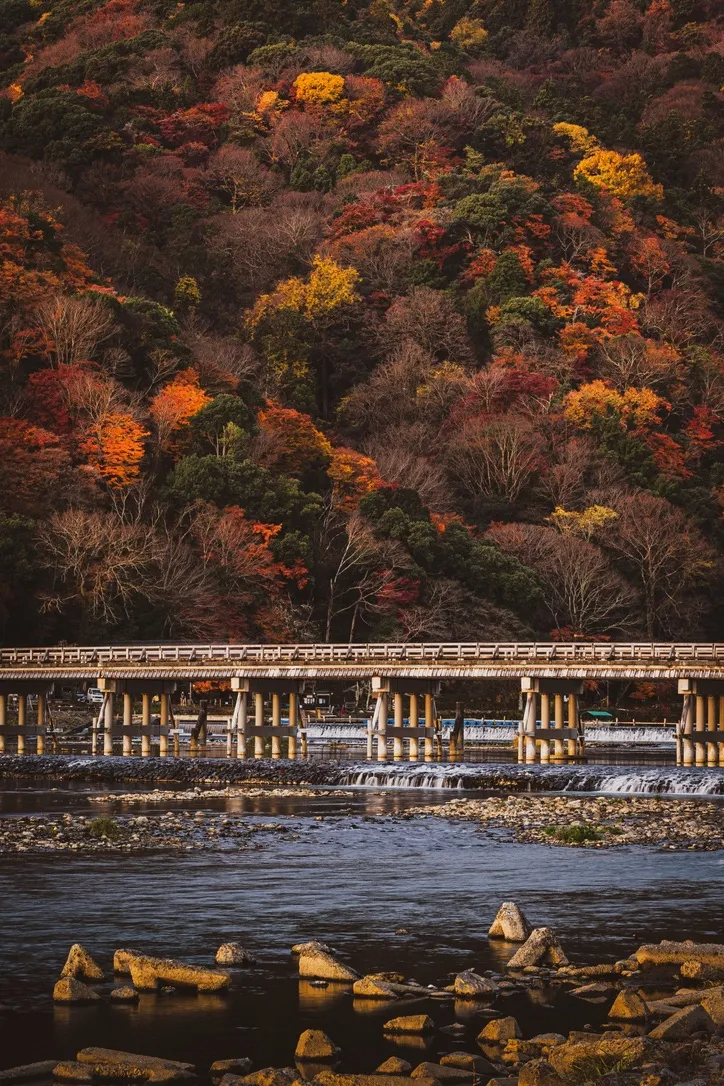 秋の渡月橋