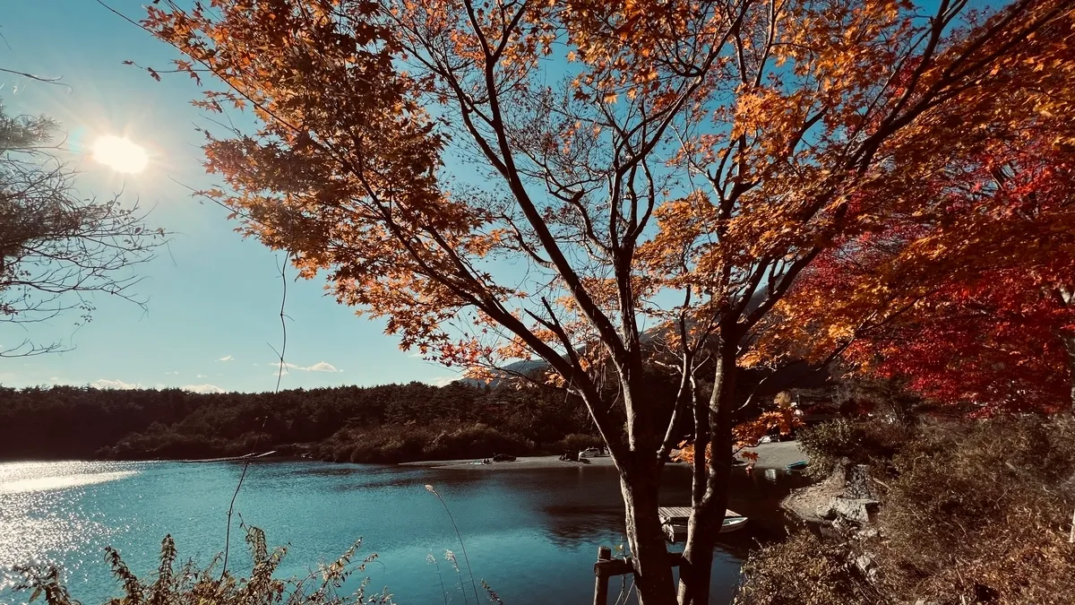 西湖根場浜