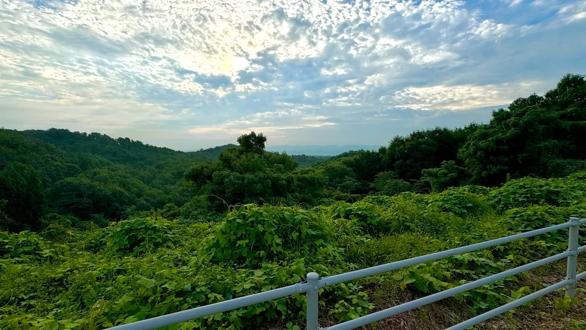 山からの眺望