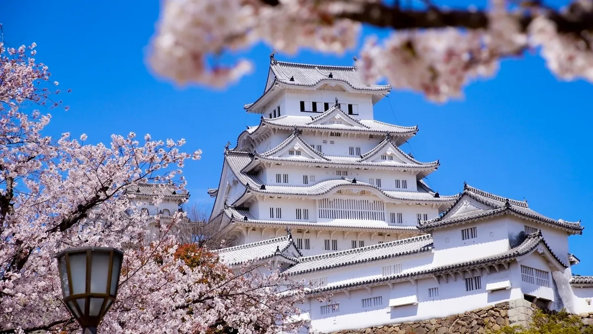 姫路城と桜