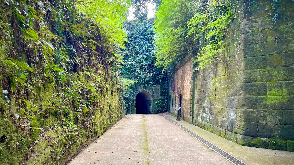 猿島神秘の風景