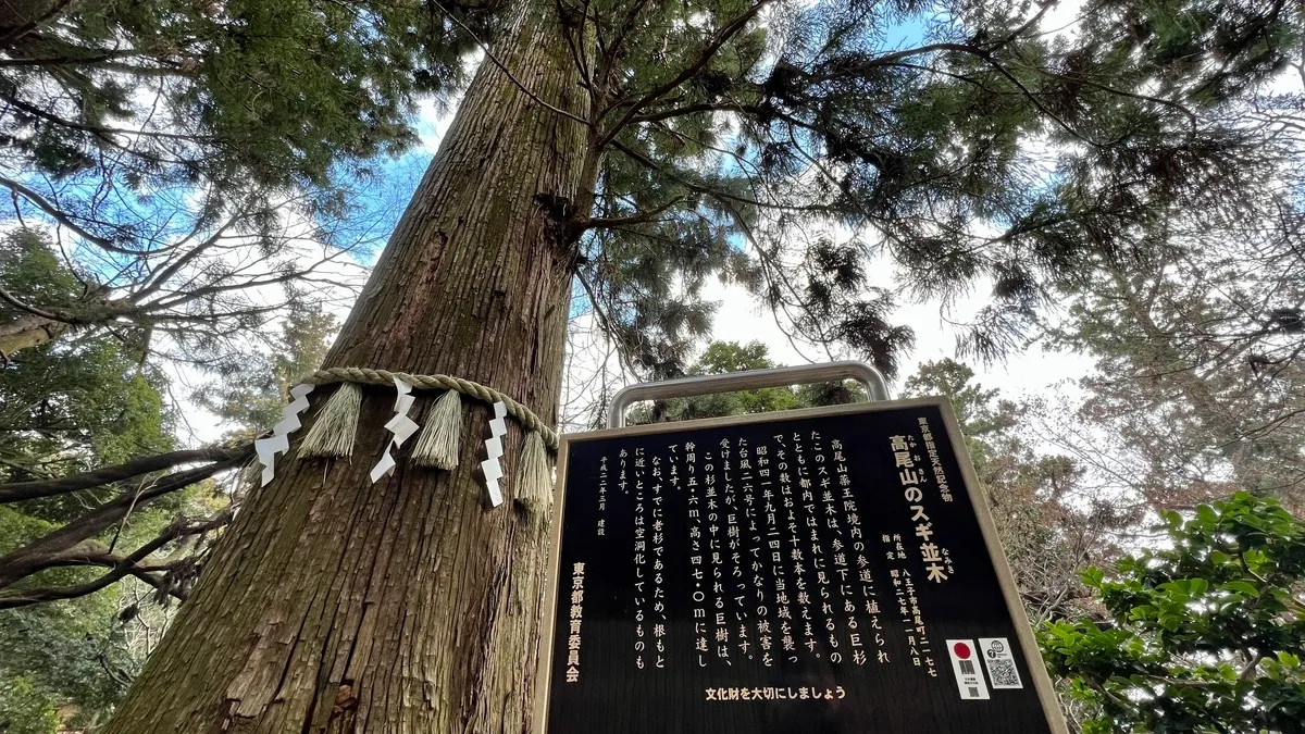 高尾山