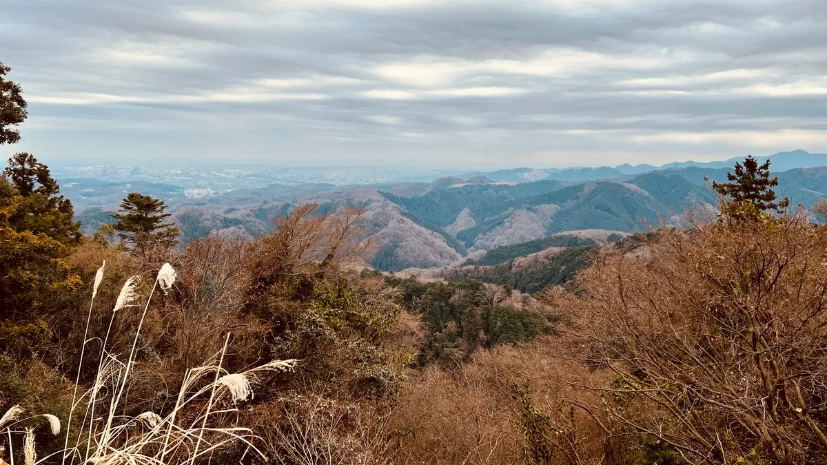 高尾山