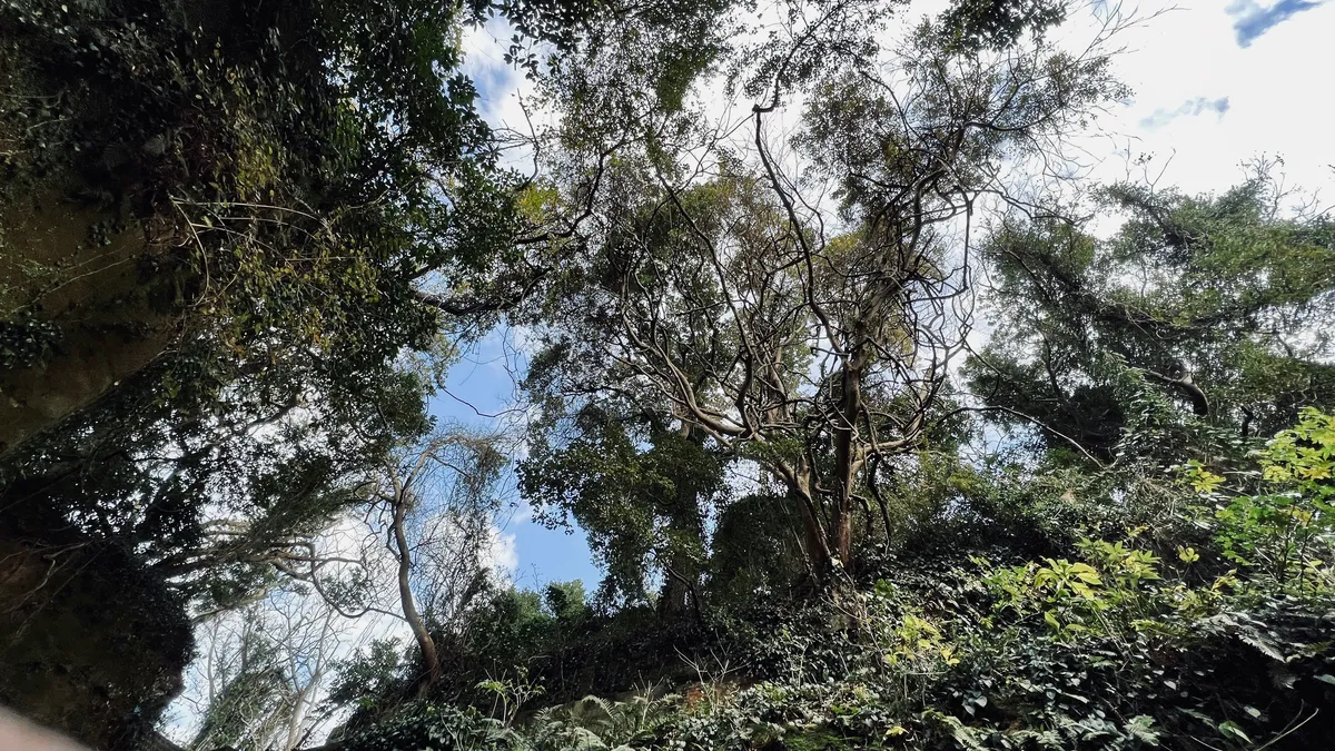 要塞と自然が一帯となった神秘的な風景