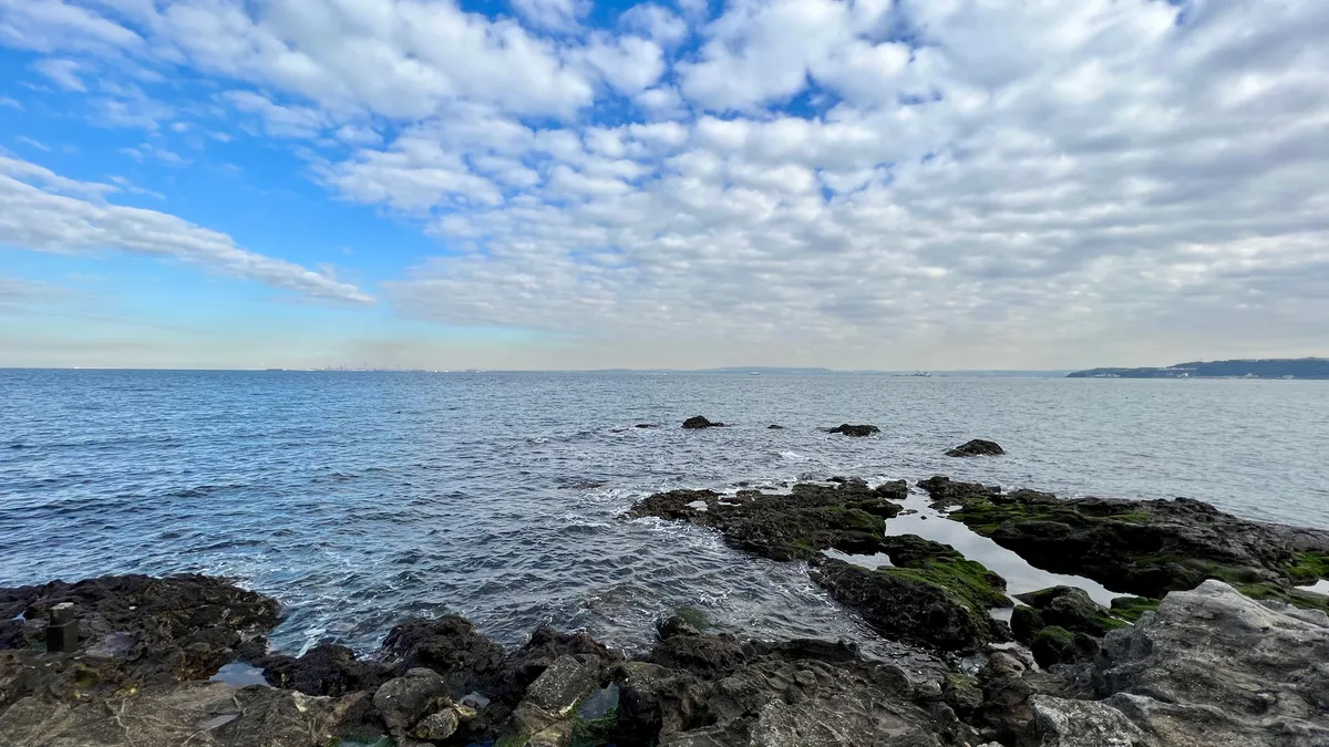 海岸からの眺望