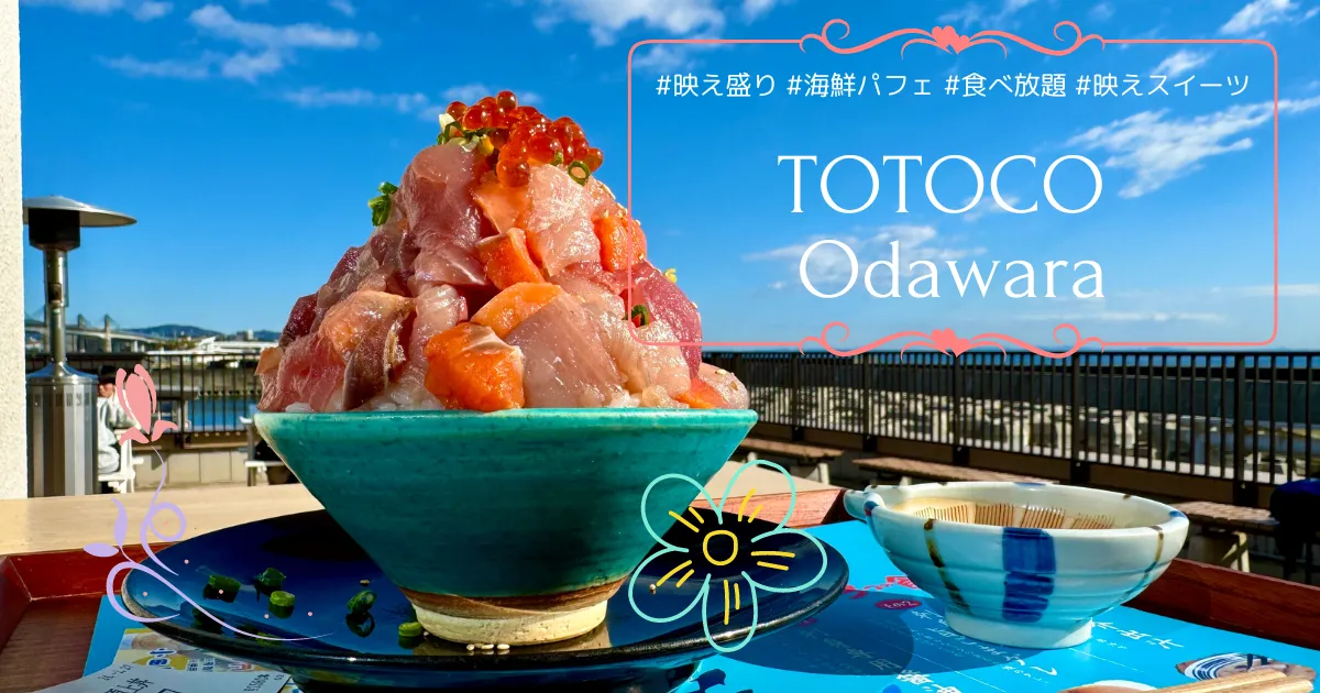 TOTOCO 小田原~映え盛り＆コスパ最強！新鮮な魚介が好きなだけ！夢のような漁港の駅