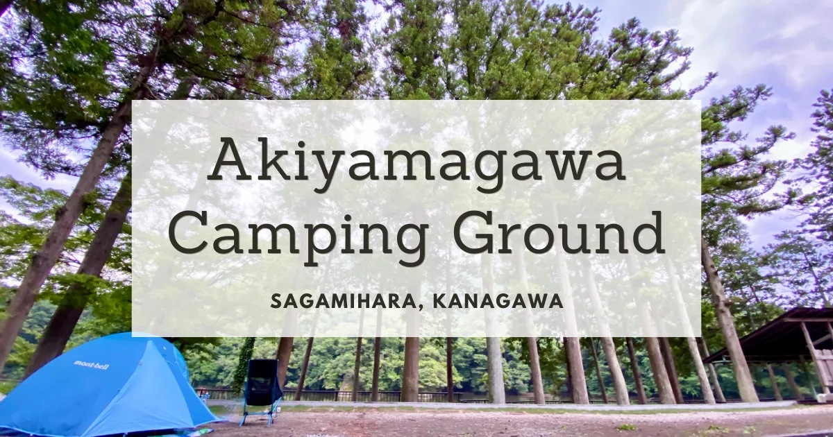 春の秋山川キャンプ場: 相模川の水面と木々の新緑が心地よく、気温も安定。相模湖で最高のキャンプ場
