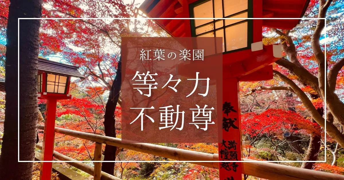 世田谷で紅葉の絶景！都心から僅か30分「等々力不動尊」等々力渓谷の大迫力紅葉を大パノラマで