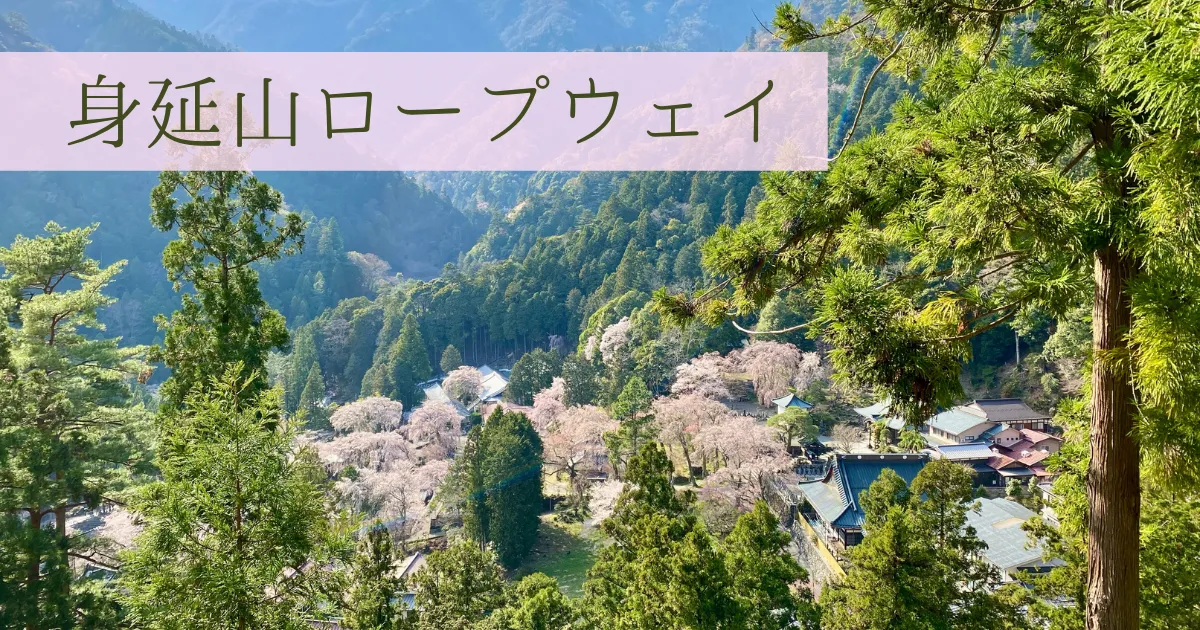 富士山と桜の絶景！身延山ロープウェイ