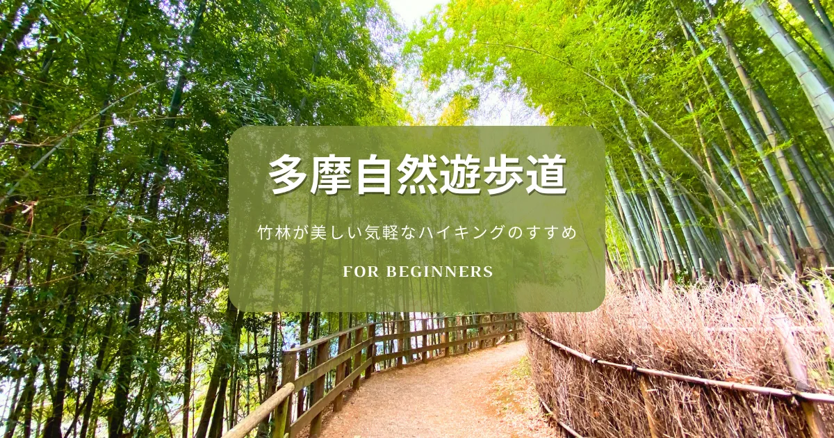 多摩自然遊歩道〜豊かな自然、竹林が美しい気軽なハイキングのすすめ〜