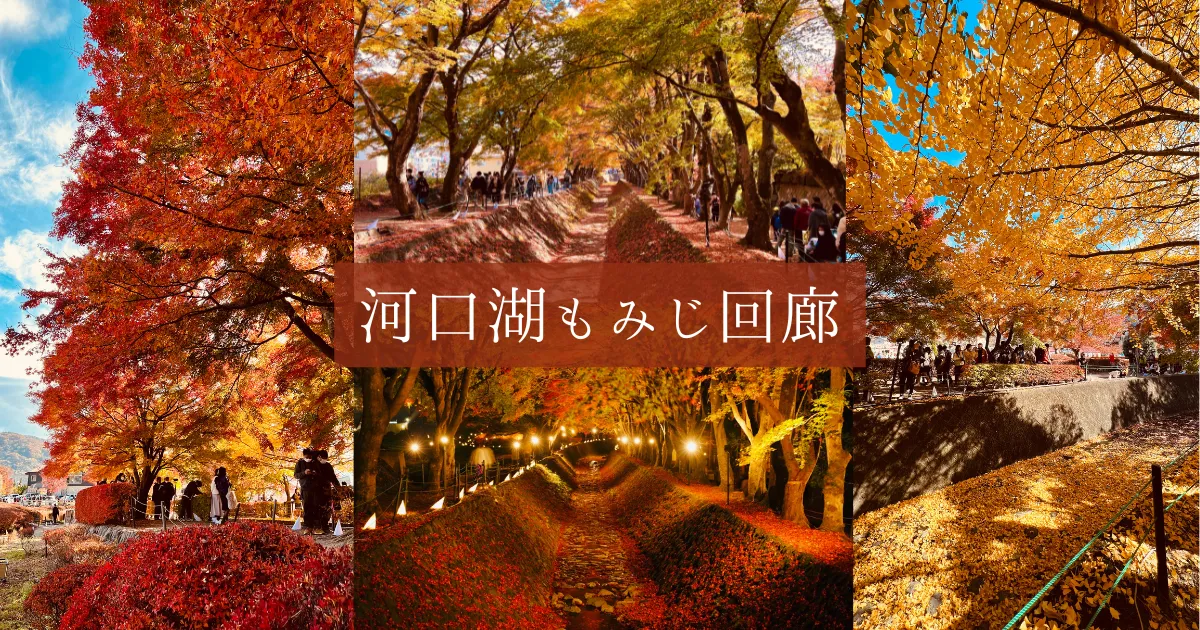 異世界級の紅葉トンネルが幻想的で美しい！河口湖もみじ回廊の見頃・アクセス必勝ガイド