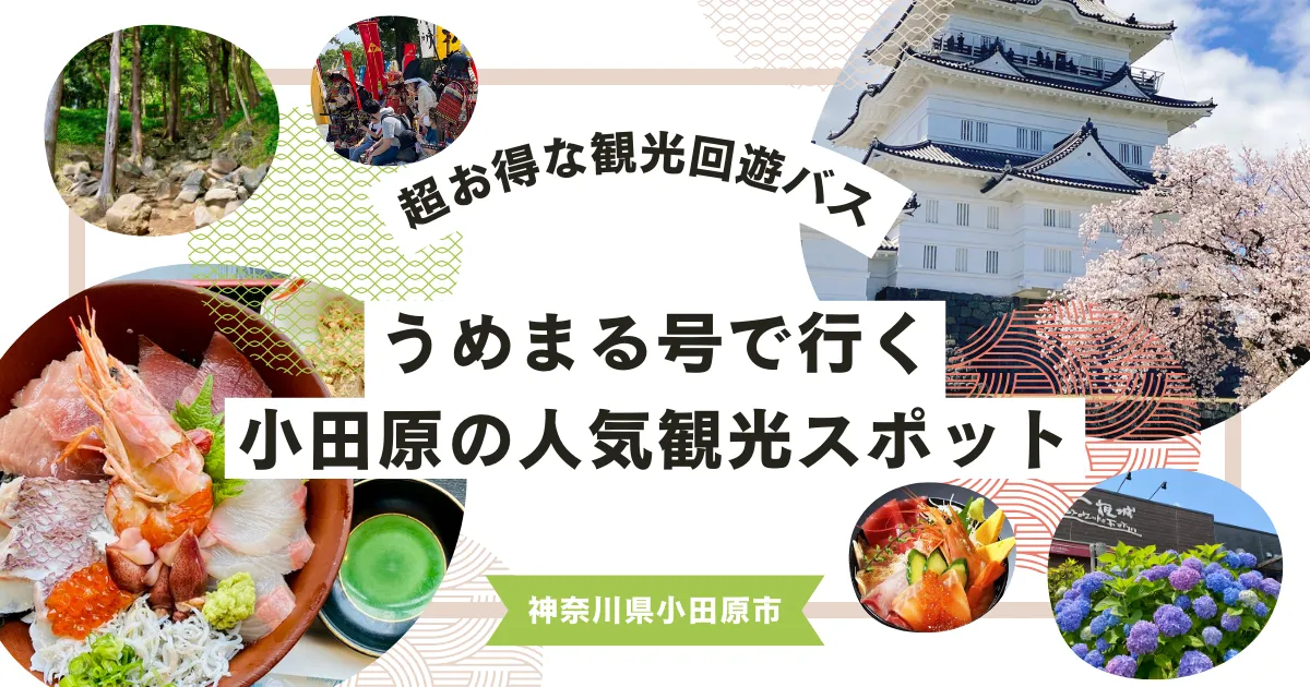 小田原駅発！超お得な休日限定観光バス「うめまる号」で行く小田原の人気観光スポットまとめ