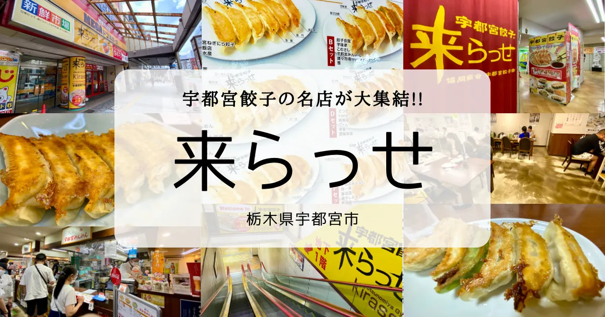 宇都宮餃子の食べ比べなら「来らっせ」で決まり！少しずつ色々なお店の餃子を食べられる！